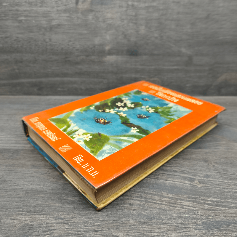 เธอเป็นเพียงแหวนพลอย โลกกว้าง - กาญจนา นาคนันทน์