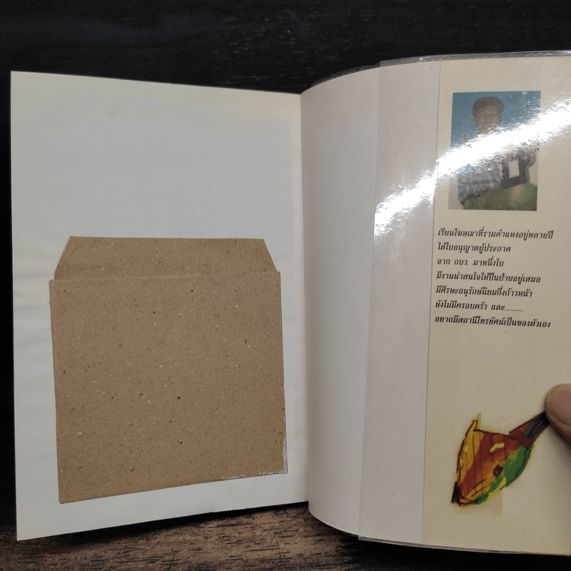 ดอกไม้ขี้หมา ไอ้บ้าเอ๊ย - อภิธาดาสีหนาท