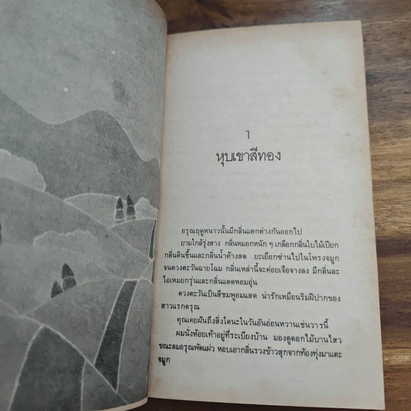 วันเวลาแสนงาม - พิบูลศักดิ์ ละครพล