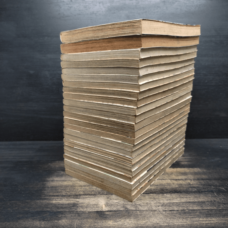 ROOKIES มือใหม่ไฟแรง 24 เล่มจบ - Masanori Morita (มาซาโนริ โมริตะ)