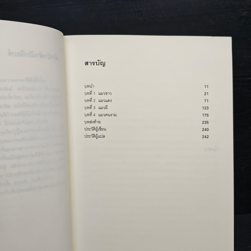 มิเกะเนะโกะ โฮล์มส์ : แมวสามสียอดนักสืบ ตอน หมู่บ้านแมวผี