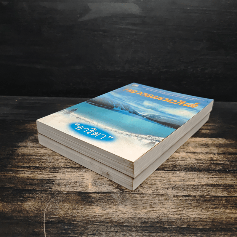 กลางลมเหมันต์ 2 เล่มจบ - อาริตา