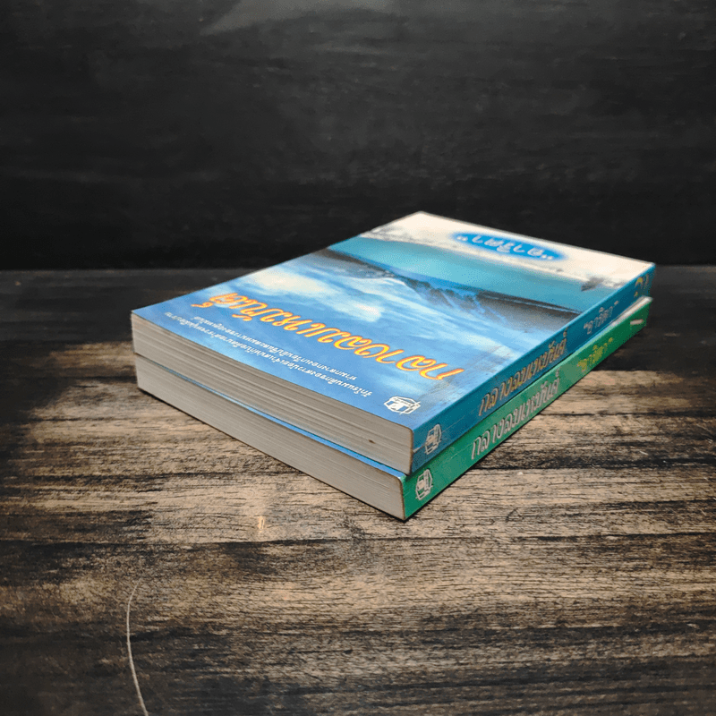 กลางลมเหมันต์ 2 เล่มจบ - อาริตา