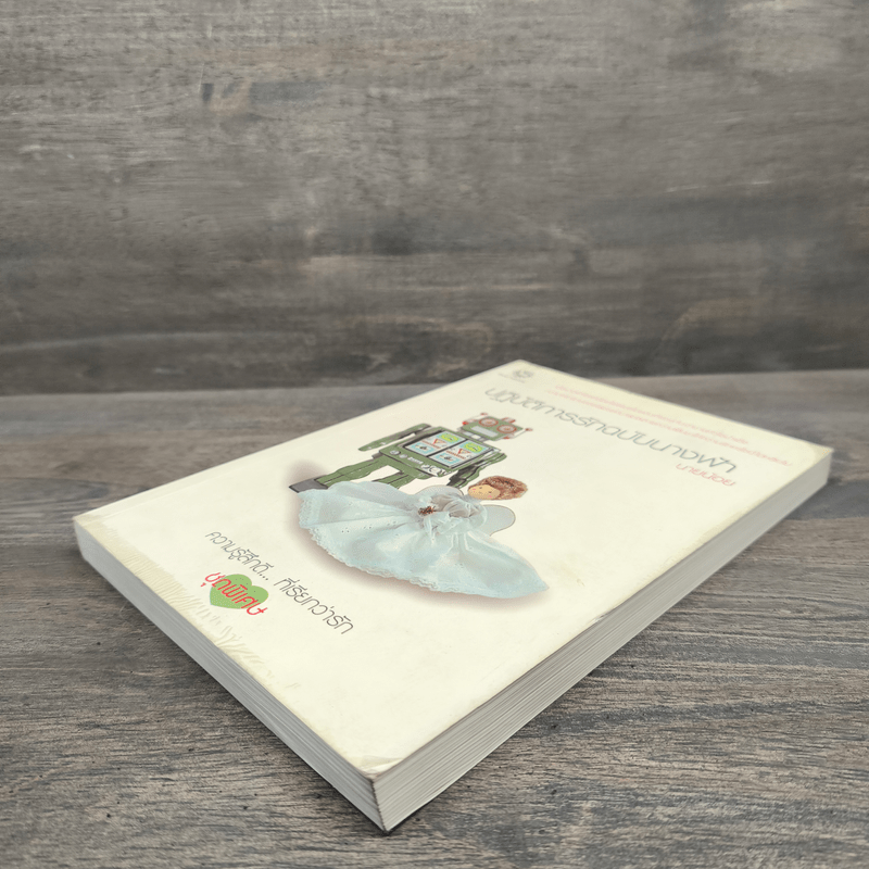 ปฏิบัติการรักฉบับนางฟ้า - นายน้อย