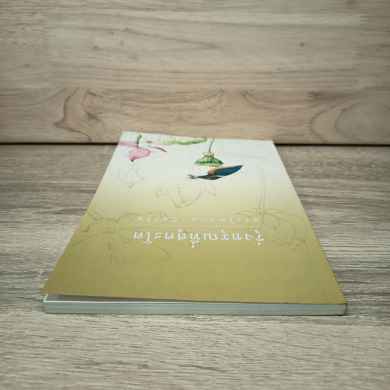 รุ่งอรุณที่สุคะโต - พระไพศาล วิสาโล