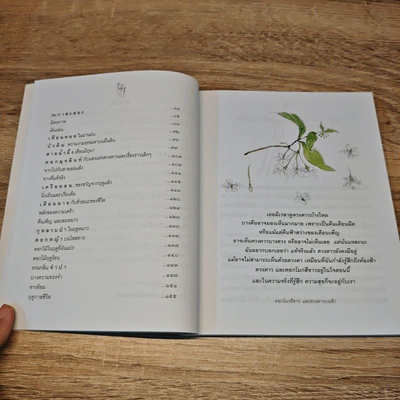 เหมือนมองดอกไม้ - บุษกร พิชยาทิตย์