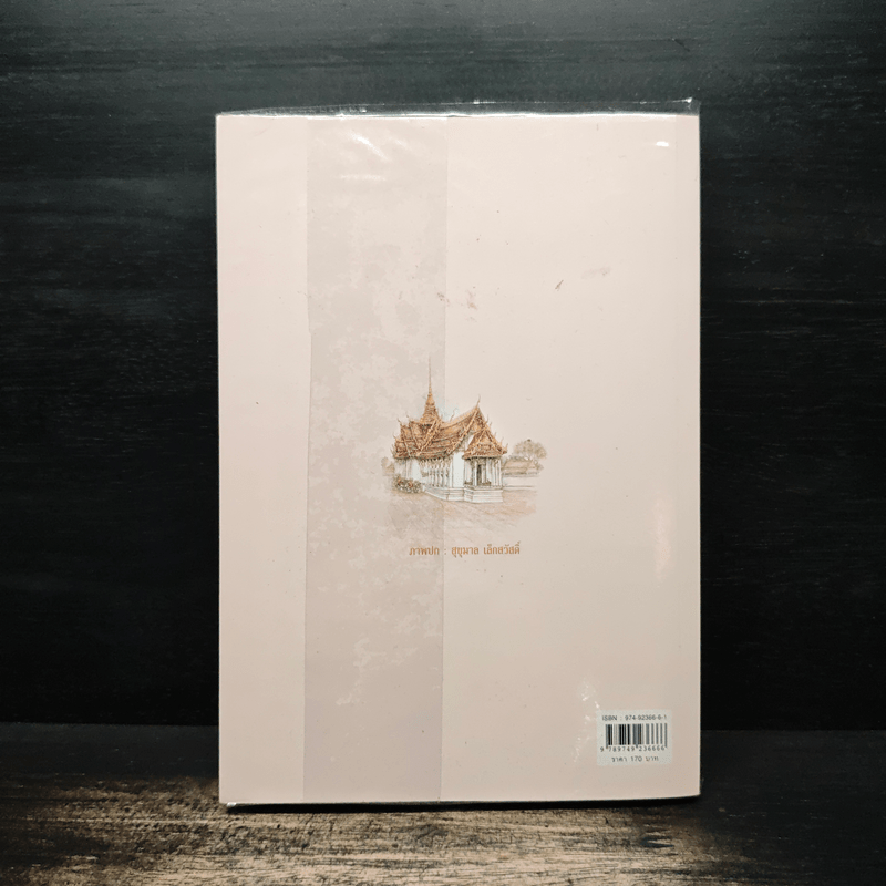 บารมีพระแม่ป้อง ปกพื้นธรณิน - แก้วเก้า