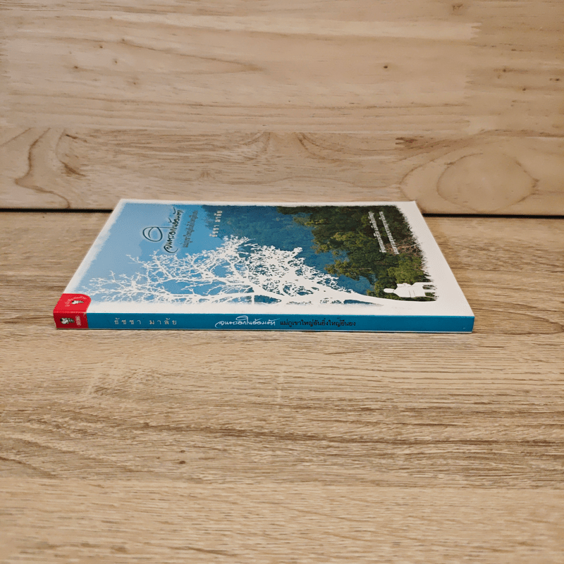 จนตรอกในอ้อมตัก แม่ภูเขาใหญ่อันยิ่งใหญ่ยืนยง - ธัชชา มาลัย