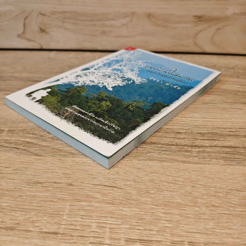 จนตรอกในอ้อมตัก แม่ภูเขาใหญ่อันยิ่งใหญ่ยืนยง - ธัชชา มาลัย