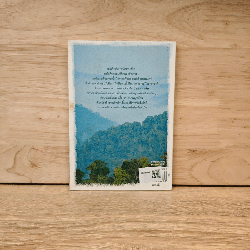 จนตรอกในอ้อมตัก แม่ภูเขาใหญ่อันยิ่งใหญ่ยืนยง - ธัชชา มาลัย