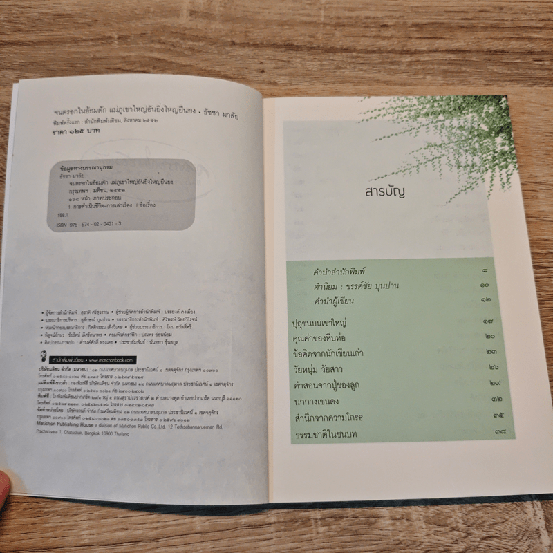 จนตรอกในอ้อมตัก แม่ภูเขาใหญ่อันยิ่งใหญ่ยืนยง - ธัชชา มาลัย