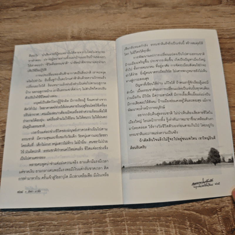 จนตรอกในอ้อมตัก แม่ภูเขาใหญ่อันยิ่งใหญ่ยืนยง - ธัชชา มาลัย