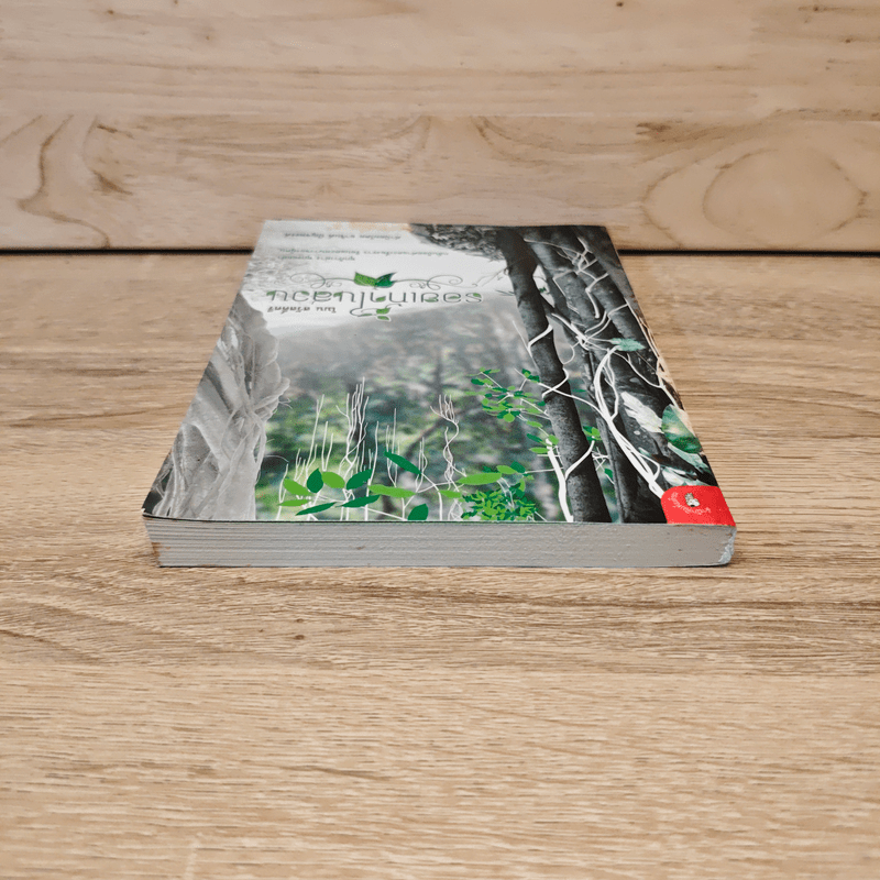 รอยเท้าในสวน - โมน สวัสดิ์ศรี