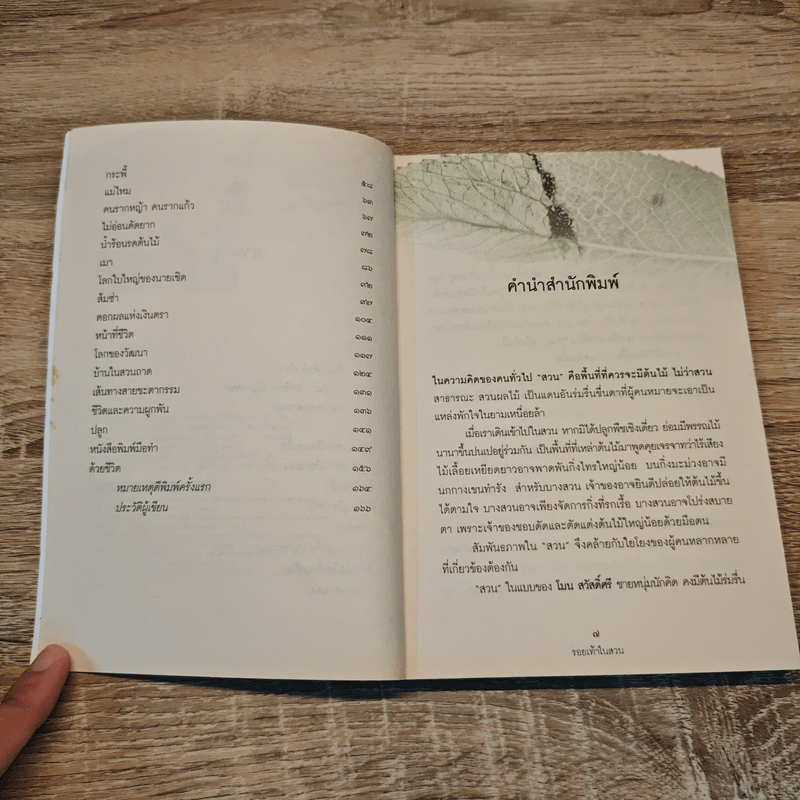 รอยเท้าในสวน - โมน สวัสดิ์ศรี