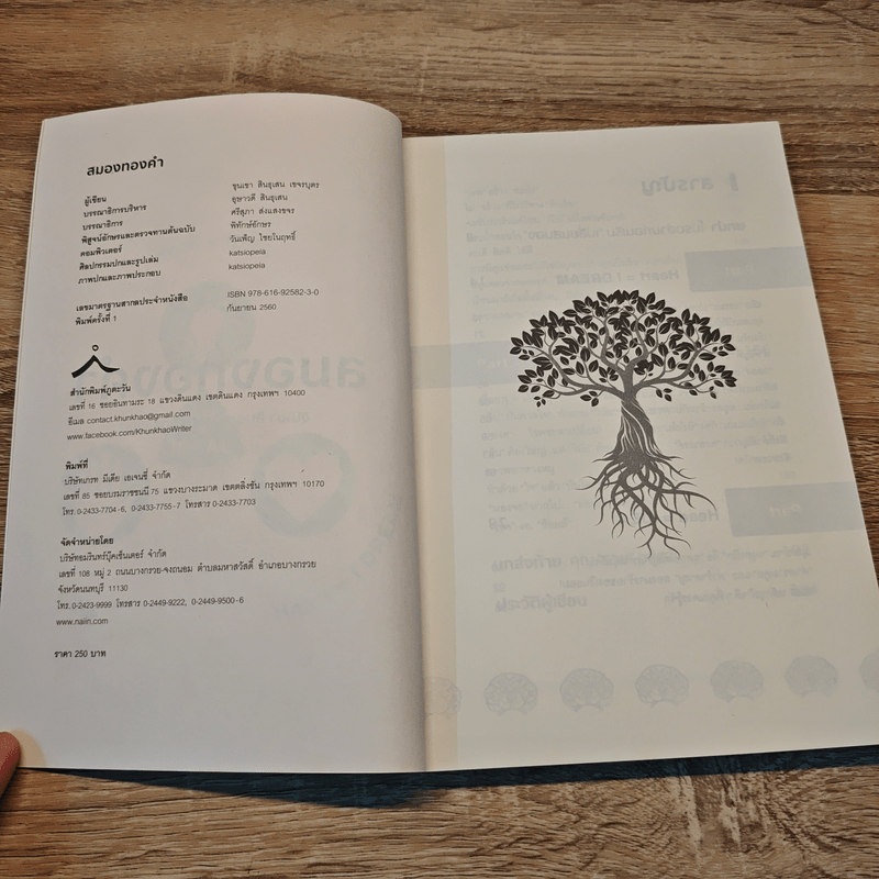 สมองทองคำ - ขุนเขา สินธุเสน เขจรบุตร