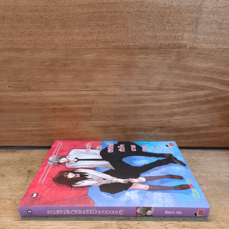 ภารกิจรักพิทักษ์หัวใจนายจอมบู๊ - Mimoza