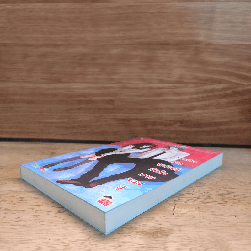 ภารกิจรักพิทักษ์หัวใจนายจอมบู๊ - Mimoza