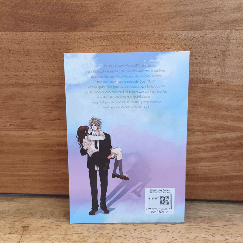 ภารกิจรักพิทักษ์หัวใจนายจอมบู๊ - Mimoza