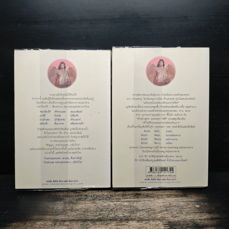 เทวปักษี 2 เล่มจบ - ลักษณวดี