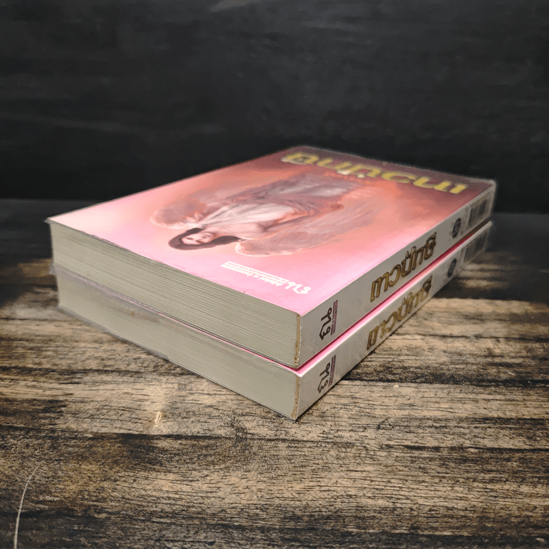 เทวปักษี 2 เล่มจบ - ลักษณวดี