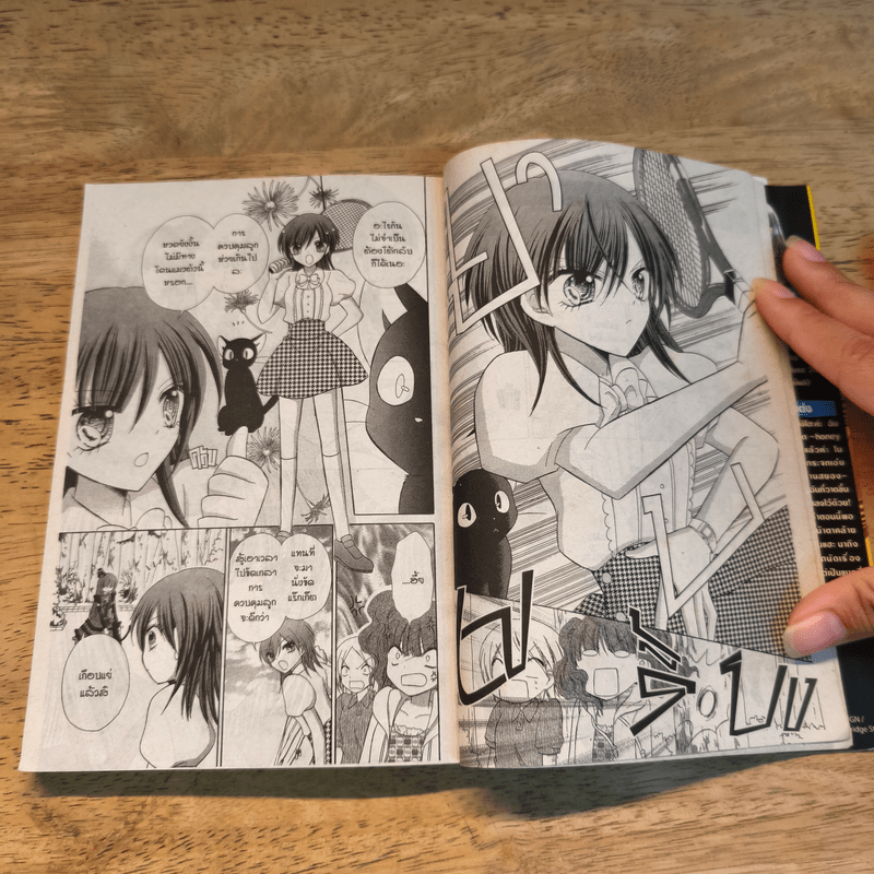 มนตราช็อกโกแลต The magic of chocolate ~honey blood~ เล่ม 8 - Mizuho Rino