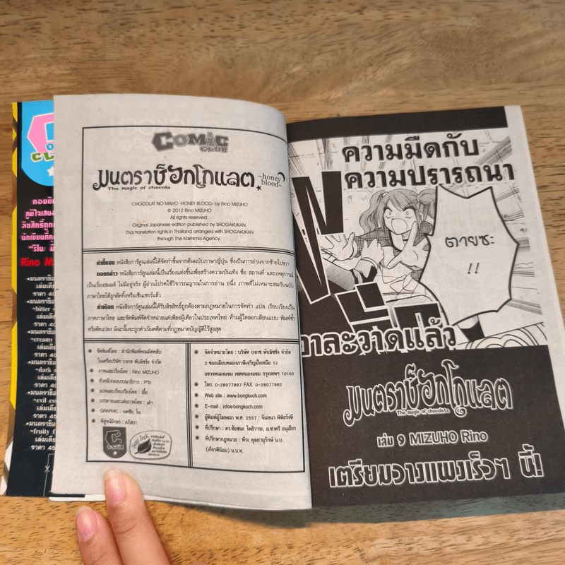 มนตราช็อกโกแลต The magic of chocolate ~honey blood~ เล่ม 8 - Mizuho Rino