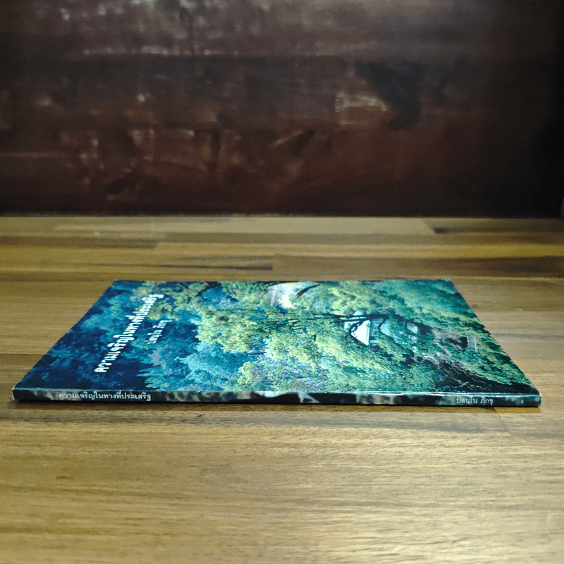 ความเจริญในทางที่ประเสริฐ - ปสนโน ภิกขุ