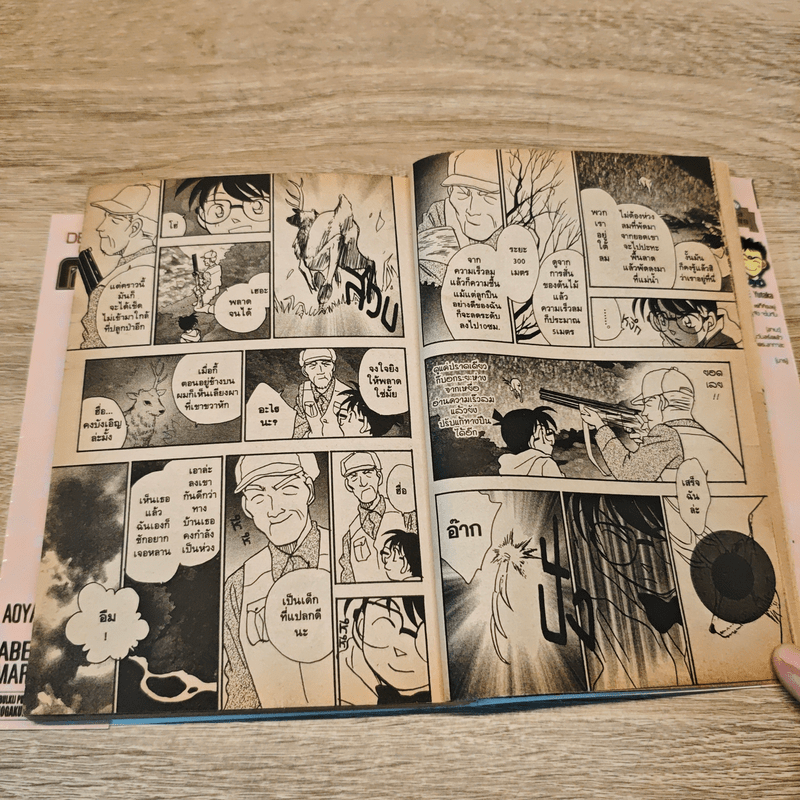 ยอดนักสืบจิ๋วโคนัน ภาคพิเศษ เล่ม 17