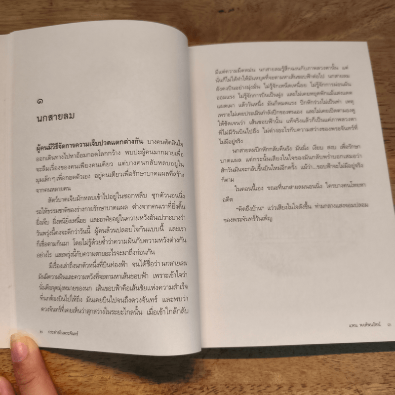 กระต่ายในพระจันทร์ - แพน พงศ์พนรัตน์