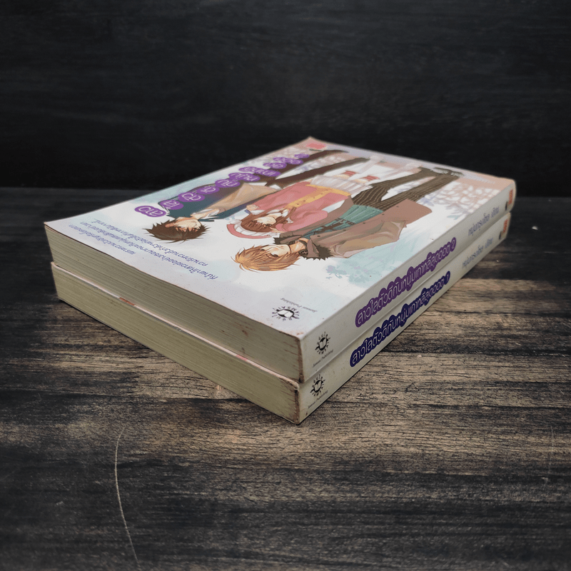 สาวใสตัวดีกับหนุ่มเกาหลีสุดฮอต 2 เล่มจบ - หนุ่มกรุงโซล