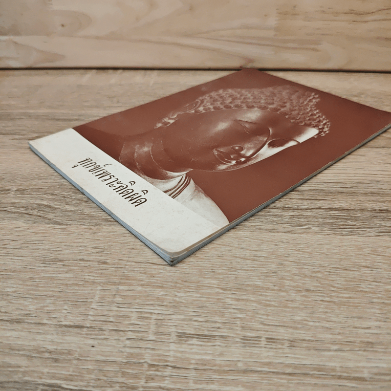 ทุกข์เพราะคิดผิด - พระอาจารย์มิตซูโอะ คเวสโก