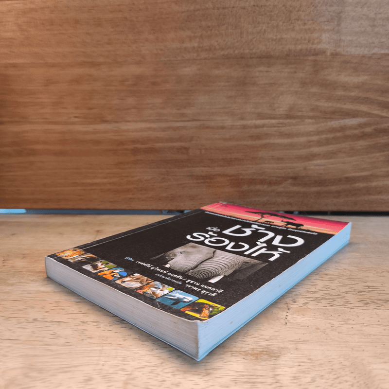 เมื่อช้างร้องไห้ - เจฟฟรีย์ มูไซเอฟ