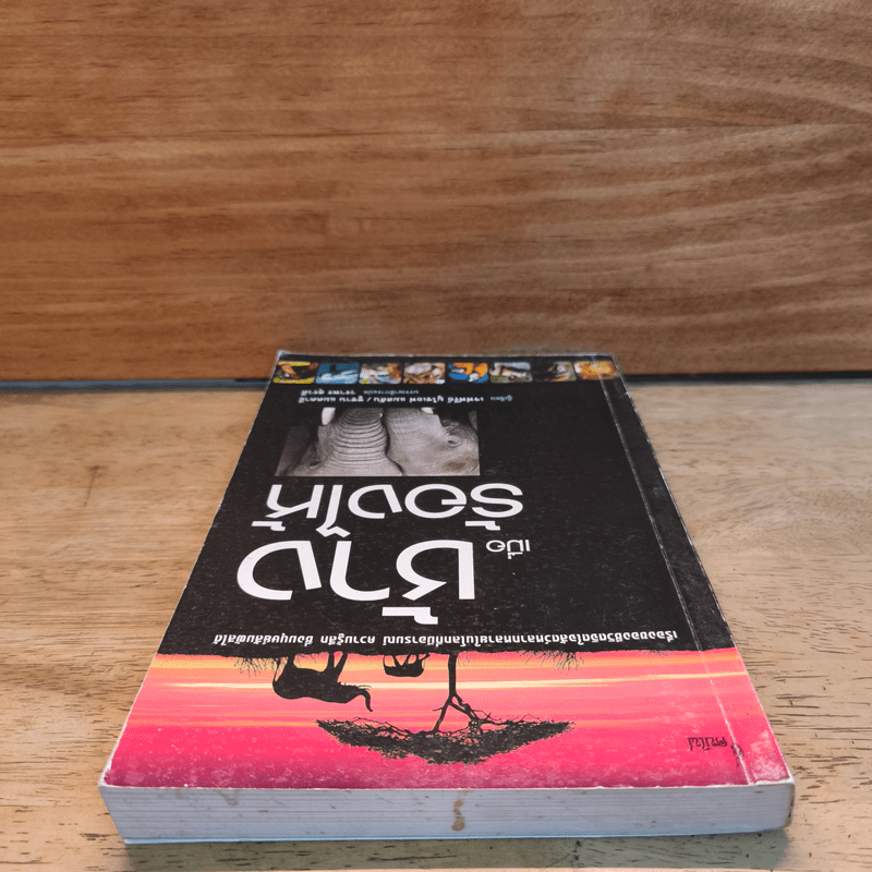 เมื่อช้างร้องไห้ - เจฟฟรีย์ มูไซเอฟ