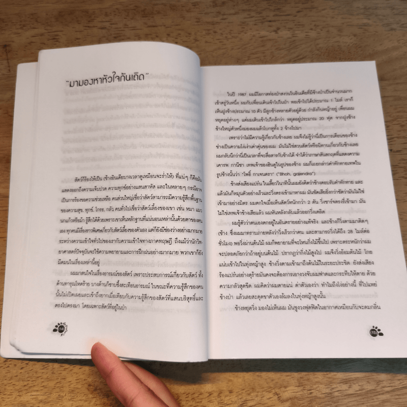 เมื่อช้างร้องไห้ - เจฟฟรีย์ มูไซเอฟ