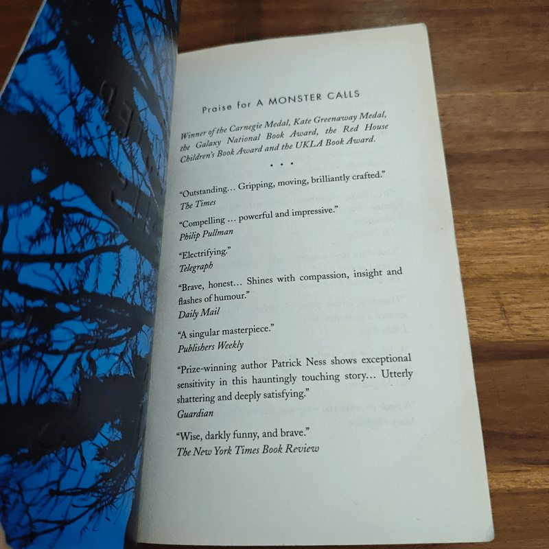 A Monster Calls - Patrick Ness, Siobhan Dowd