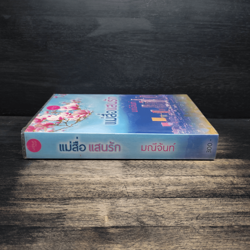 แม่สื่อแสนรัก - มณีจันท์