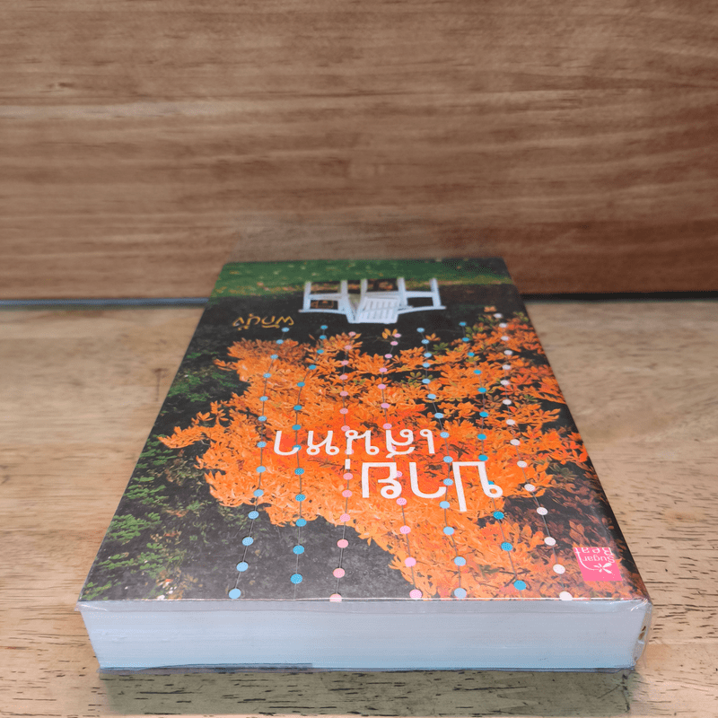 ปายเสน่หา - ผักบุ้ง