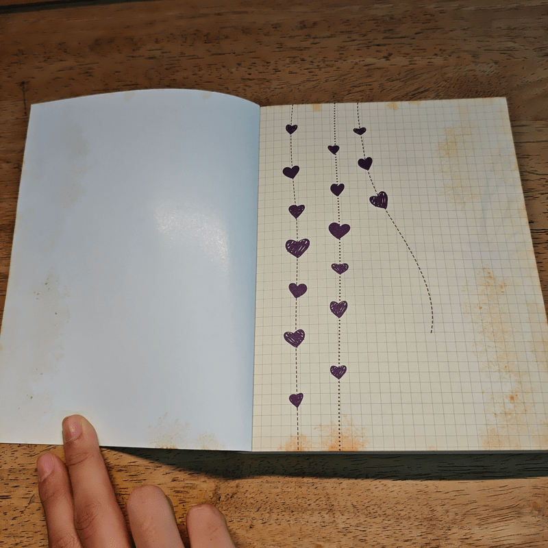 ผู้หญิงขั้วบวก - คำ ผกา