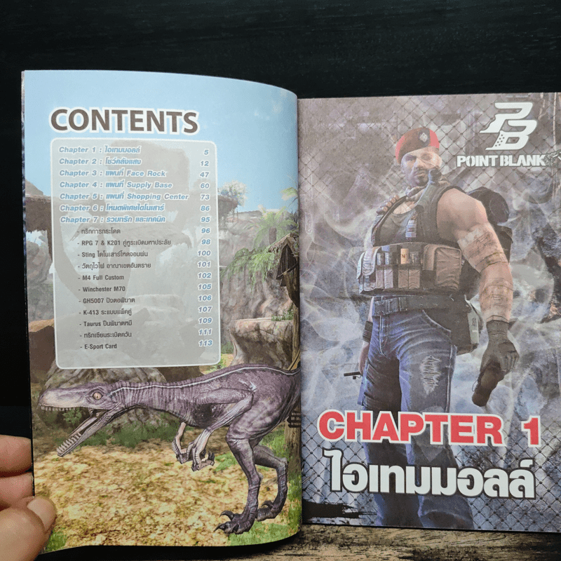 Point Blank Official Guide Book Volume 5