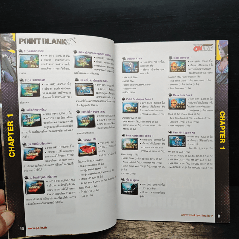 Point Blank Official Guide Book Volume 5