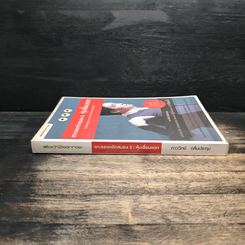 แกะรอยหยักสมอง 3 : หุ้นเขื่อนแตก - ภาววิทย์ กลิ่นประทุม