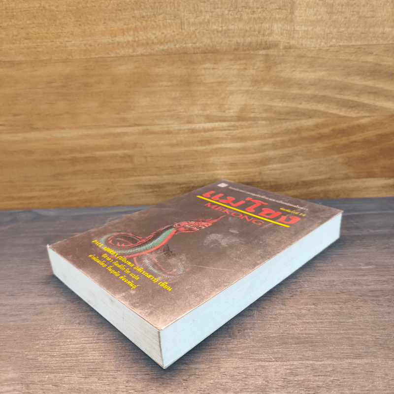 แม่โขง Mekong - ปองพล อดิเรกสาร