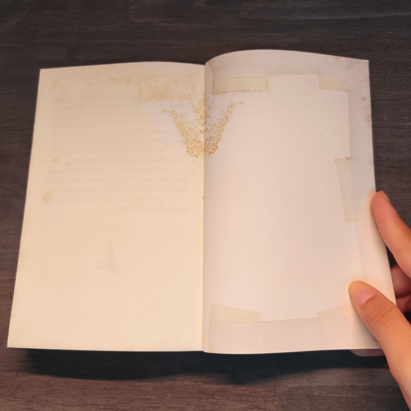 แม่โขง Mekong - ปองพล อดิเรกสาร