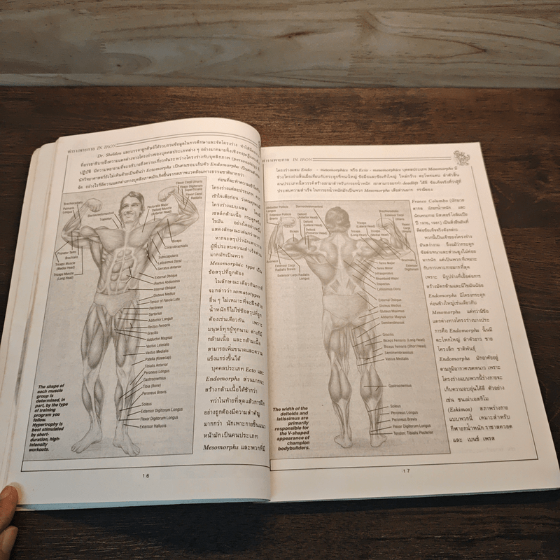 ตำราเพาะกาย In Iron - David J. Brow, อาจารย์นพคุณ วันแต่ง