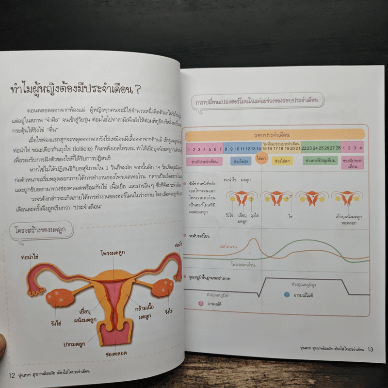 หุ่นสวย สุขภาพดีสมวัย ต้องใส่ใจประจำเดือน - แพทย์หญิงจาง เจียเป้ย