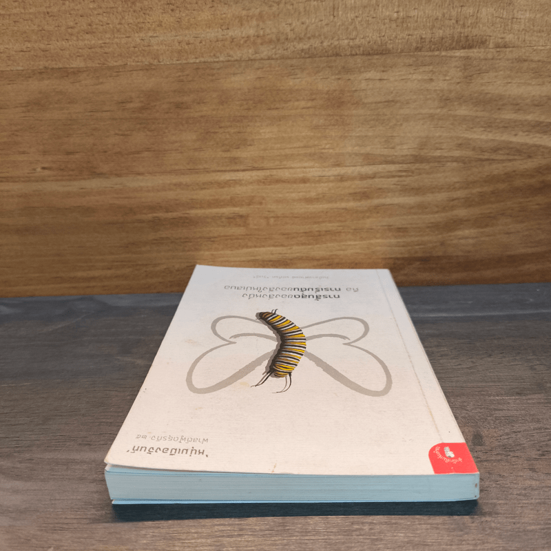 การสิ้นสุดของสิ่งหนึ่งคือการเริ่มต้นของสิ่งใหม่เสมอ - หนุ่มเมืองจันท์