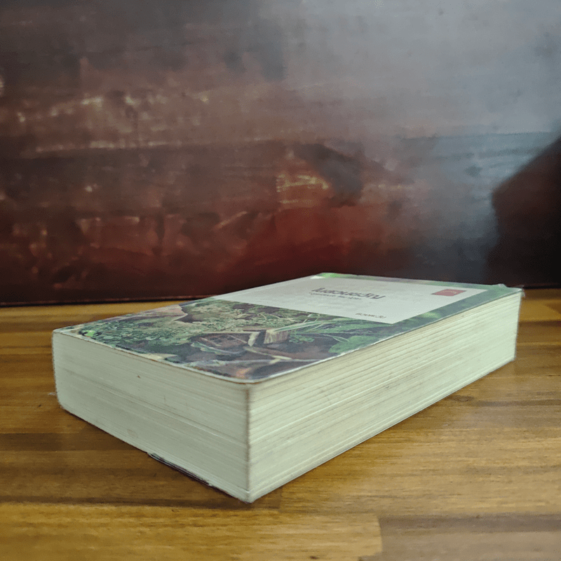 ในสวนขวัญ - ดวงตะวัน