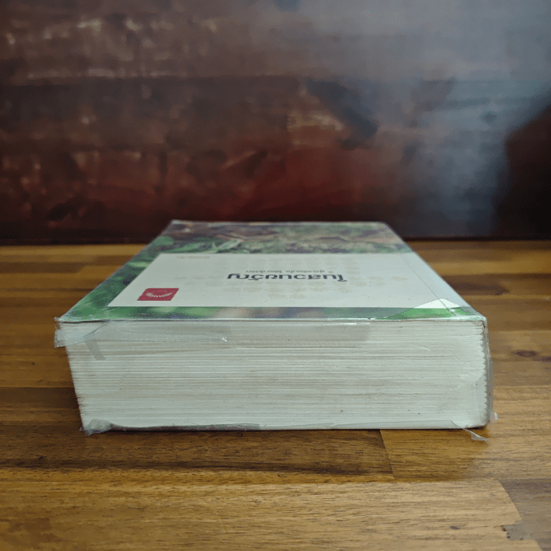 ในสวนขวัญ - ดวงตะวัน