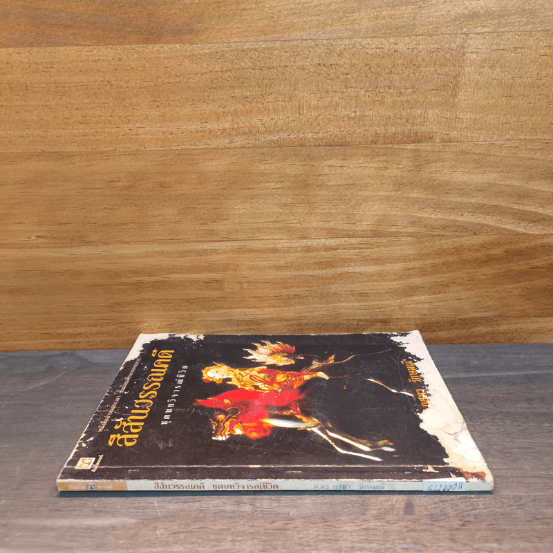 สีสันวรรณคดี ชุดบทวิจารณ์ชีวิต