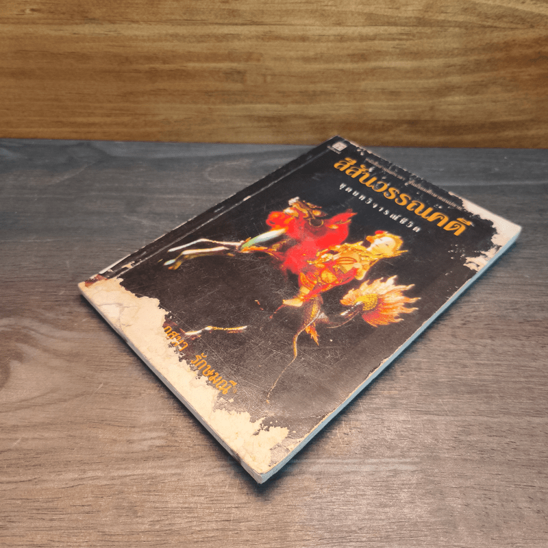 สีสันวรรณคดี ชุดบทวิจารณ์ชีวิต